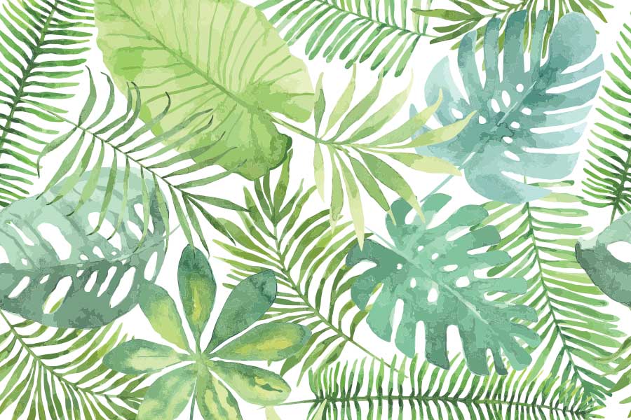 Backdrop jungle